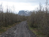 Trail 1