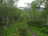 Trail 2