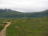 Trail 3