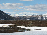 Sarek 1
