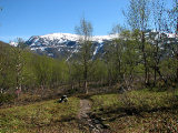Trail 1