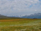 Sarek 16