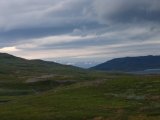 Fjelds 1