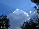 Sky 1