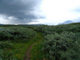 Trail 2