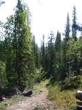 Trail 6