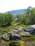 Trail 1