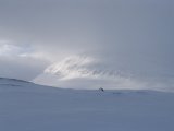 Sealgg� 1