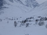 Elks 1