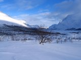Bajip G�idumj�vri 8