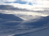 Sarek 3