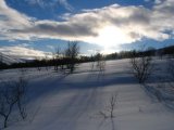 Sun 7