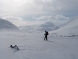 Fjelds 1