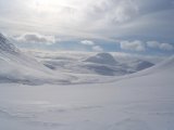 Fjelds 2
