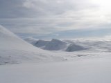Fjelds 3