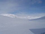 Fjelds 1