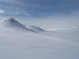Fjelds 5
