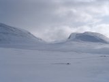 Fjelds 6
