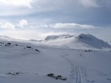 Trail 5
