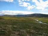 M�idahariehppi 1