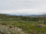 Sitasjaure cottages 7