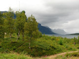 Sjöfallsdalen 1