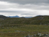 Fjelds 2