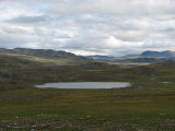 Fjelds 8
