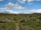 Trail 3