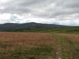 Trail 5