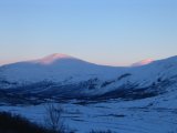 Evening 1