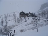 Snow 8