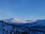 Fjelds 8
