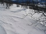 Snow pattern 1