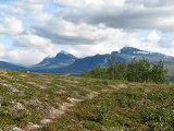 Swan valley 1