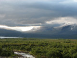 Swan valley 3