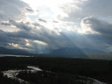 Swan valley 5