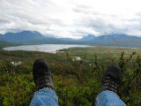 Swan valley 6
