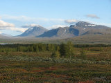 Kutjaure icon