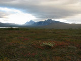 Swan valley 8