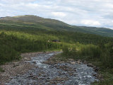 Cottage 5
