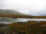 Fjelds 11