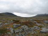 Fjelds 12
