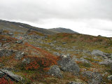Fjelds 13