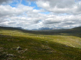 Fjelds 2