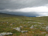 Fjelds 3