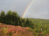 Rainbow 3