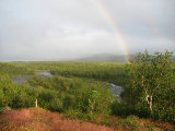 Rainbow 4