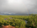 Rainbow 5