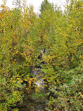 Stream 1